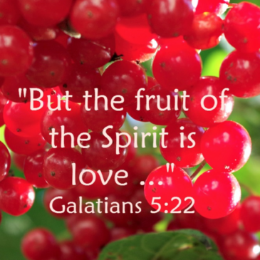 THE FRUIT OF THE SPIRIT 3: LOVE