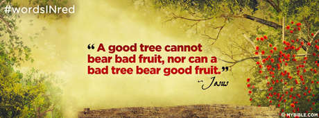 THE FRUIT OF THE SPIRIT 2